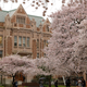 UW Found A Volleyball Star's Sexual Assault Allegation "Extremely Credible" But Let The Accused Official Leave Without Consequence